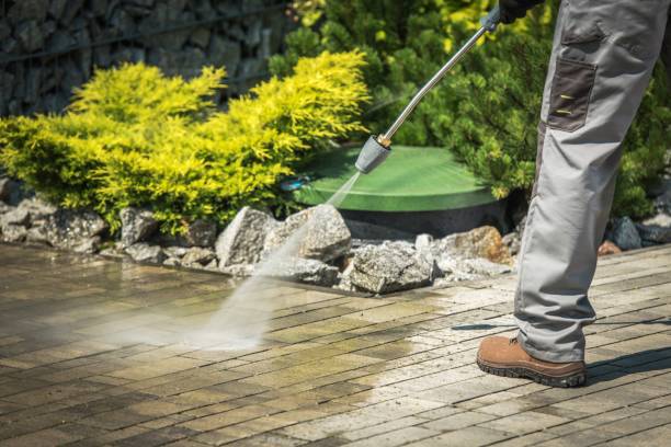 Best Sidewalk and Walkway Cleaning  in Park Falls, WI