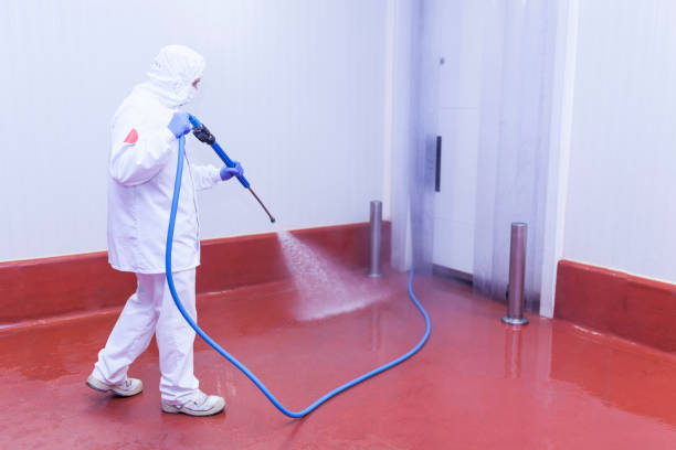 Best Soft Washing  in Park Falls, WI