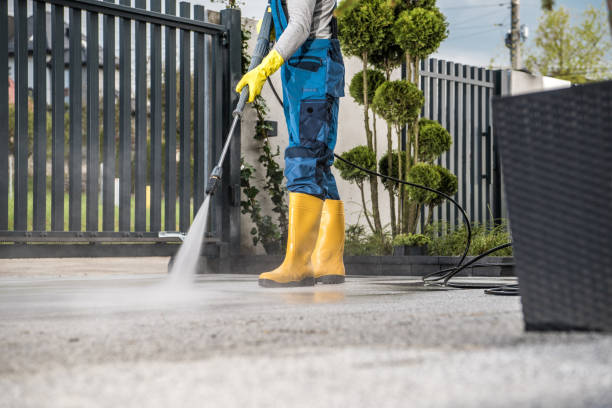 Best Rust Removal  in Park Falls, WI